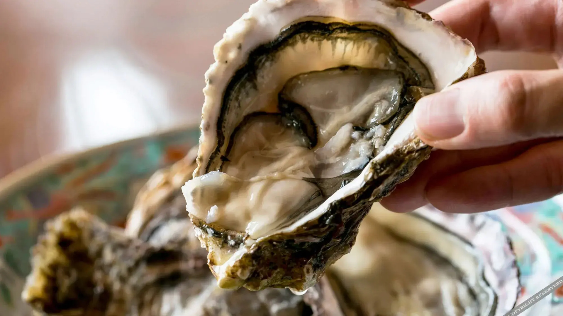 Seaside Katsuragahamaso