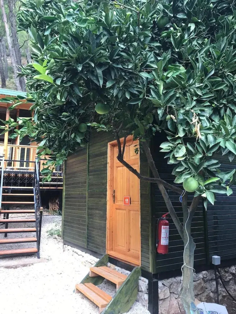 Olympos Yigit Pansiyon