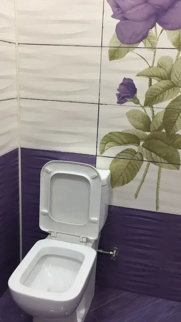 Отель Hasanovs Villa