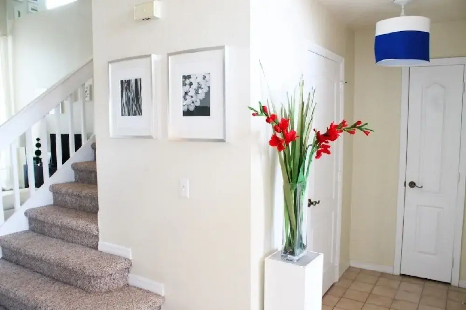 Ventura Resort Rentals Orlando