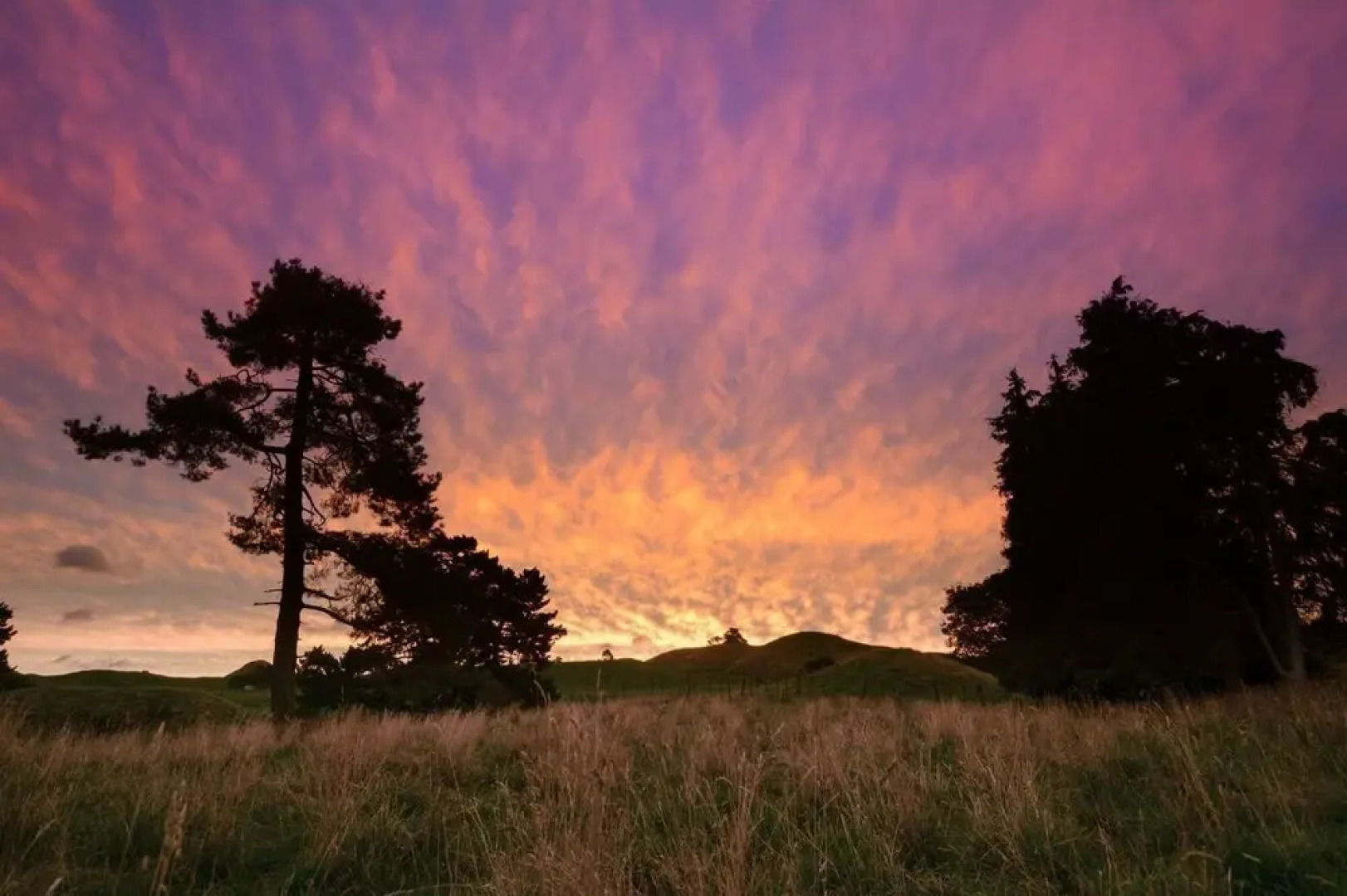 Rotorua Hillside Haven