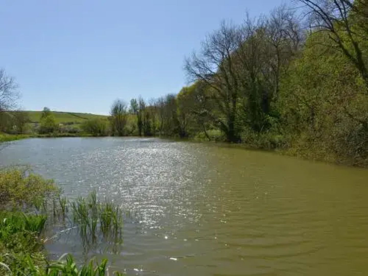 Tregonhawke Farmhouse