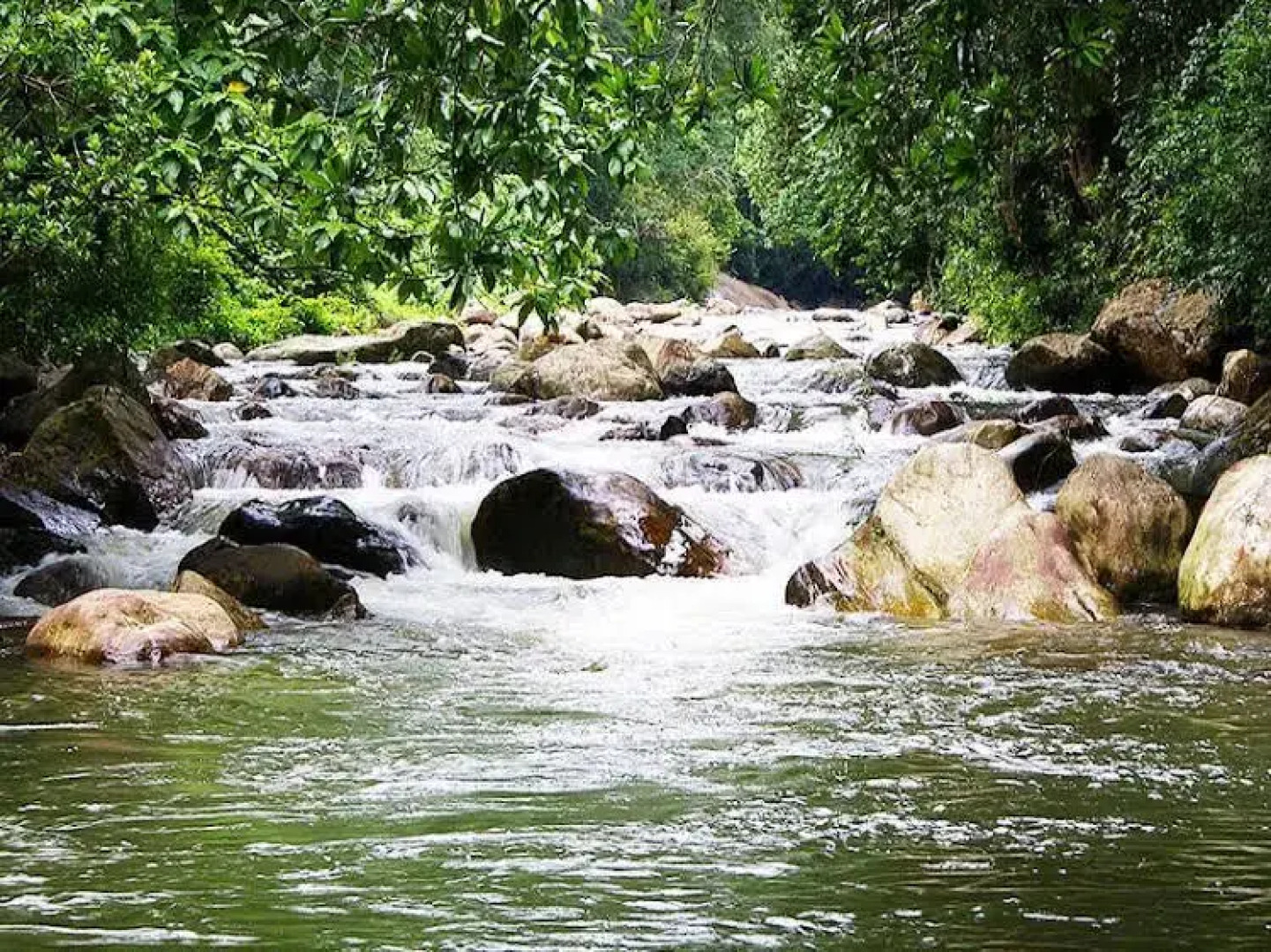 Peters Coffee Creek Nature Resort