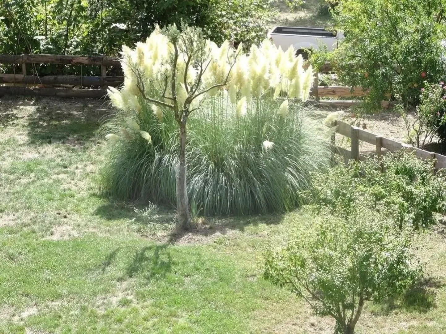 Le Mas du Galibot Gîtes