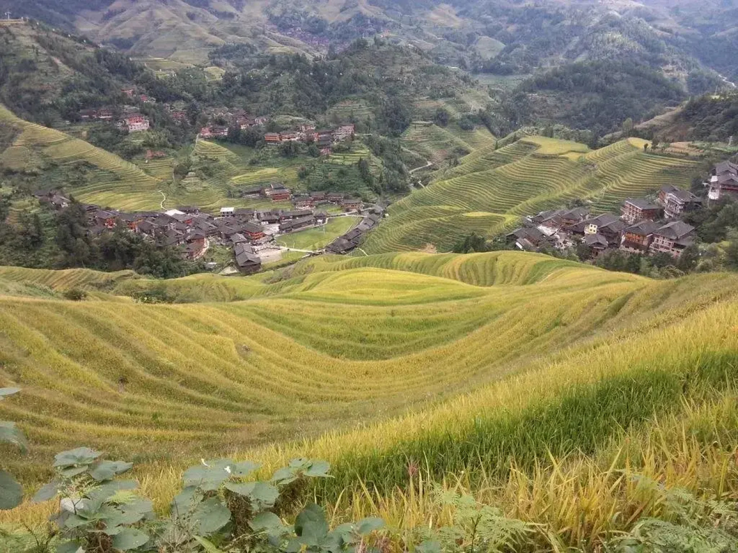 Longji Terrace Chunyuge Inn