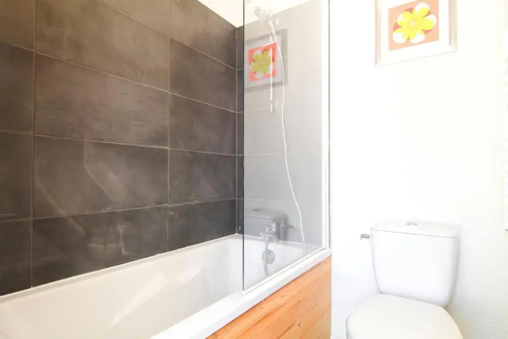 Penthouse 3-bedroom apartment, mountain views, large terrasse, piste access