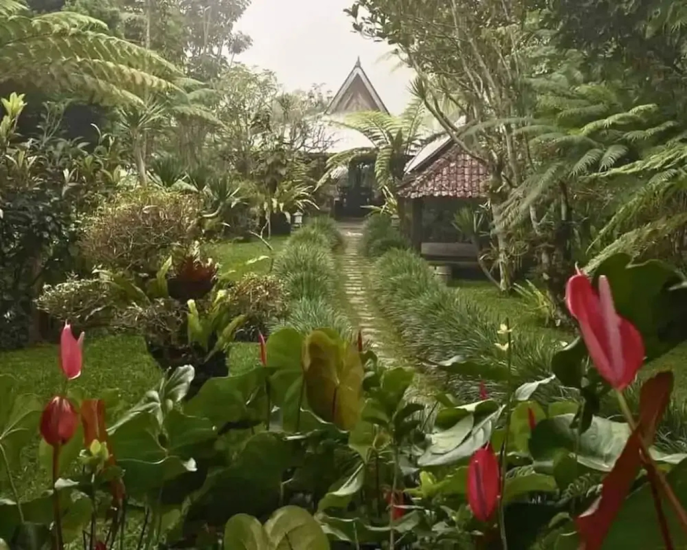 Warung Rekreasi Bedugul