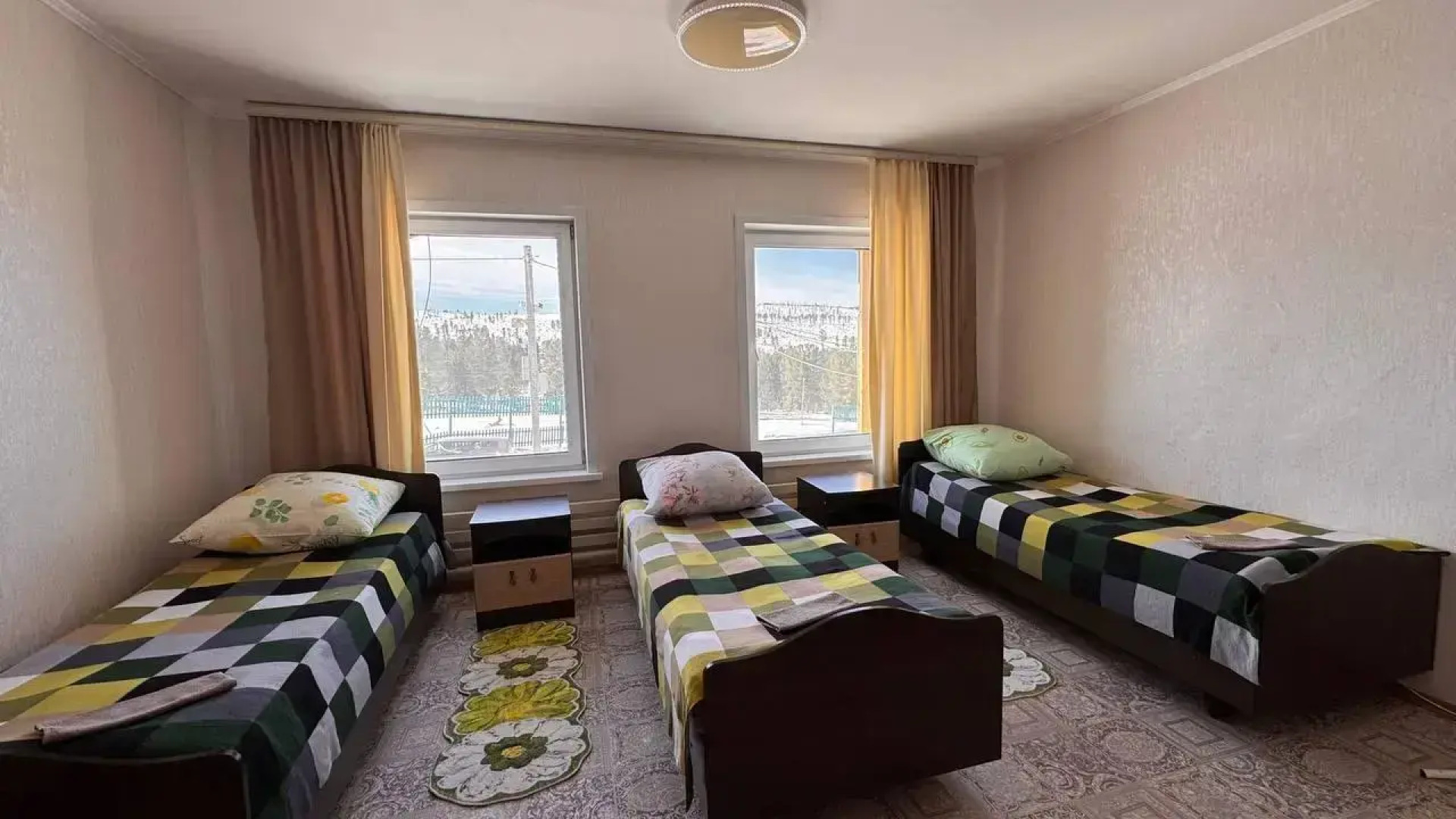 Кедр Золотой