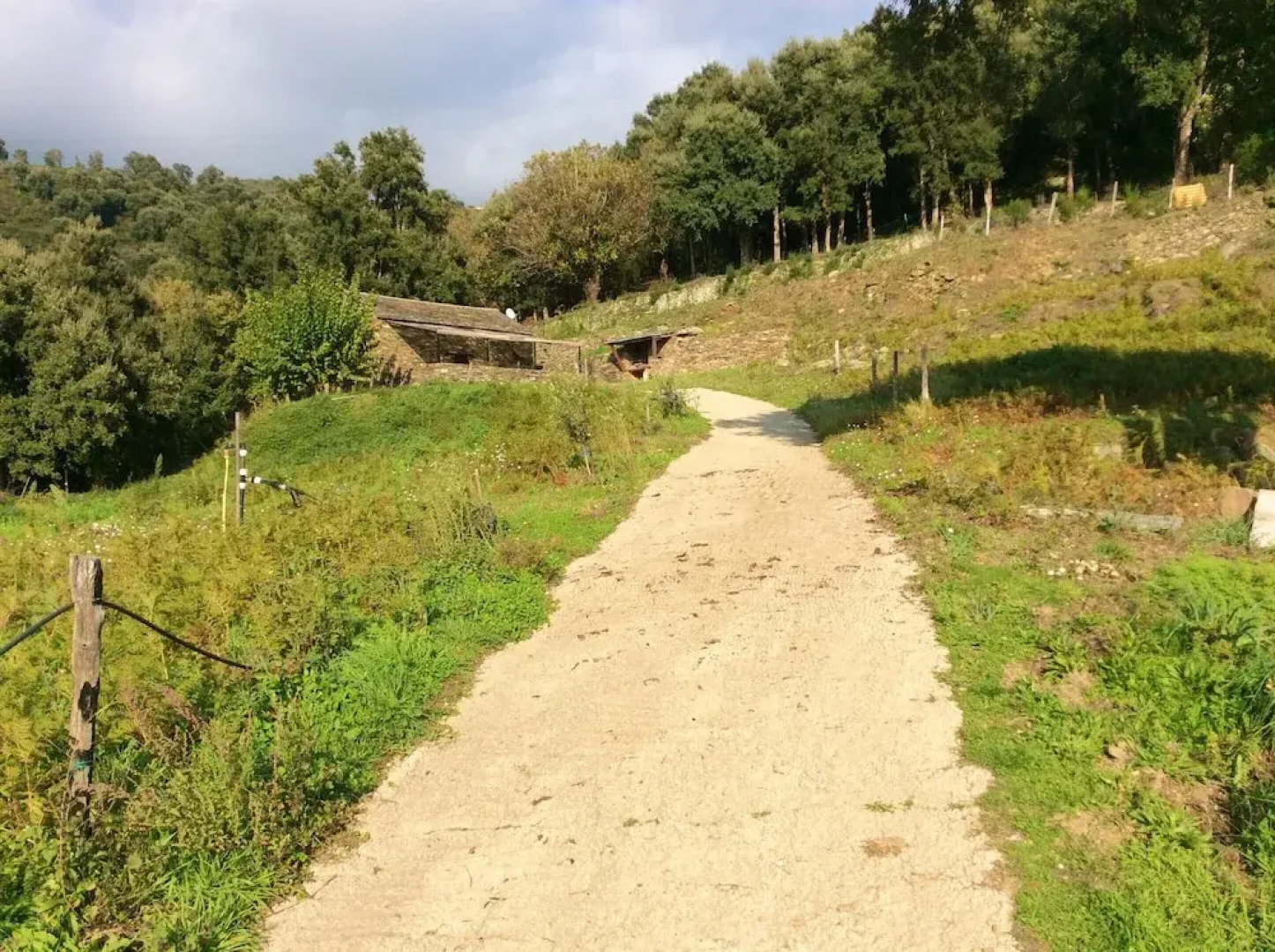 House With 2 Bedrooms in Volpajola - 7 km From the Beach