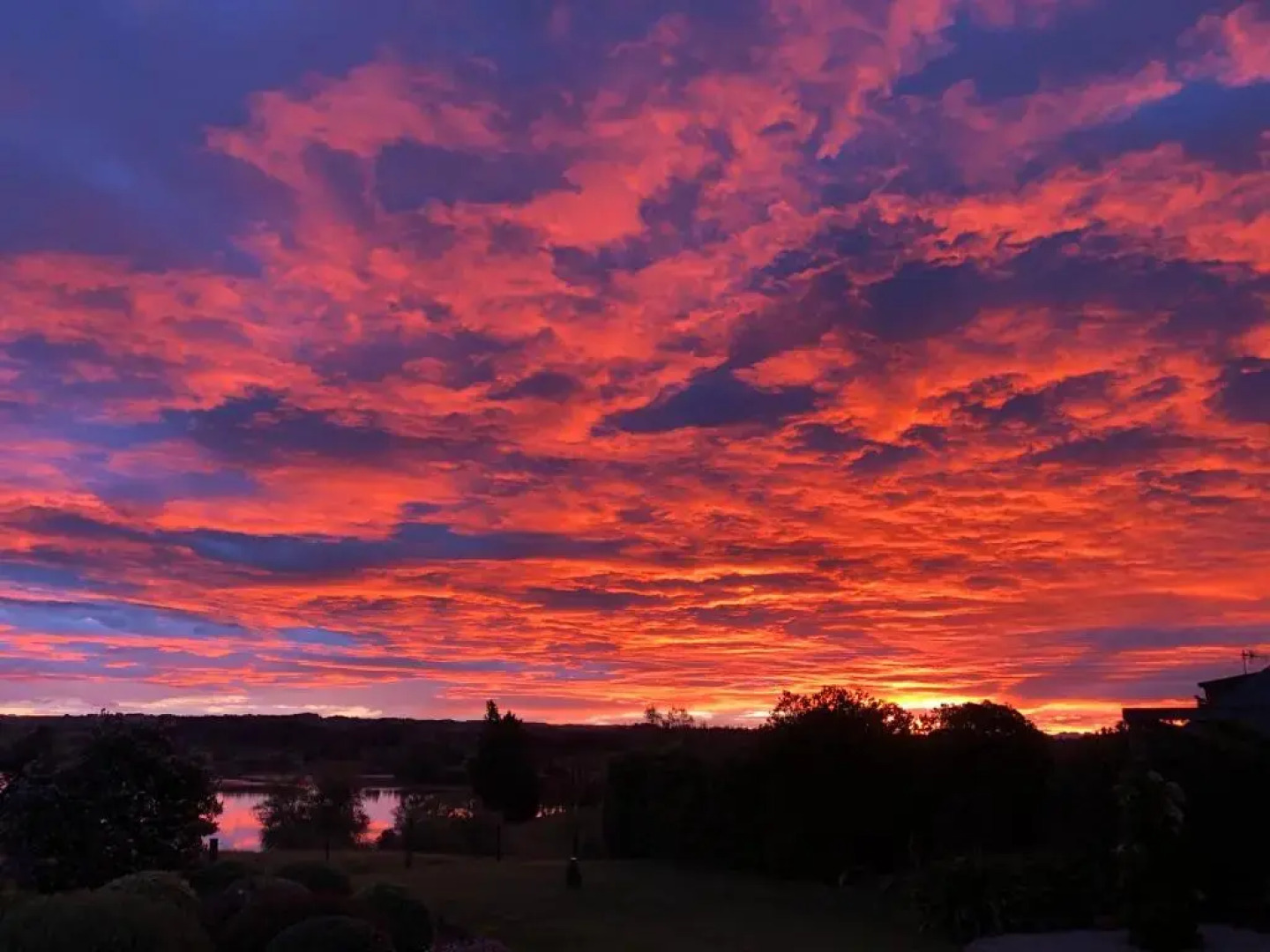 117 Higgs - Room With a View