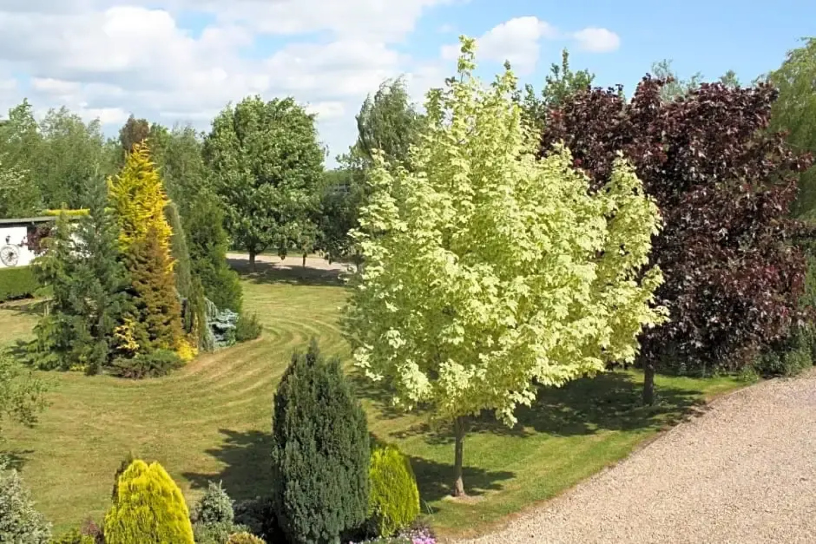 The Beeches Bed and Breakfast