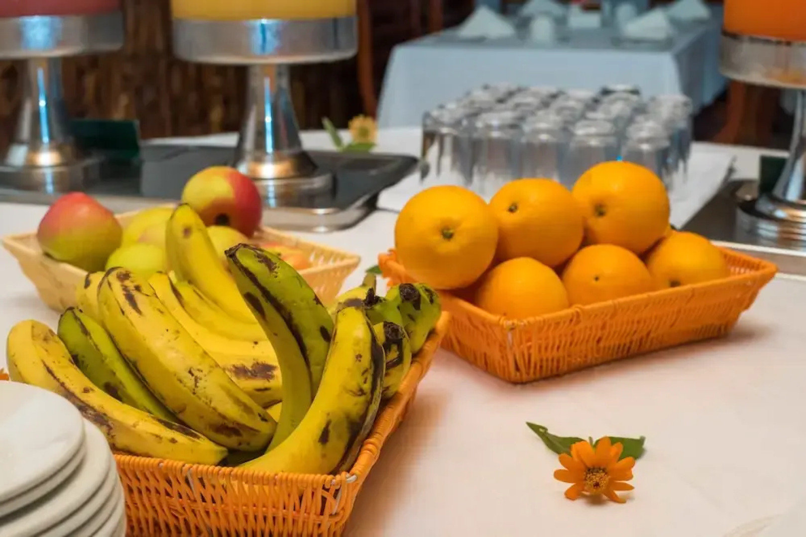 Отель Sunbird Livingstonia Beach