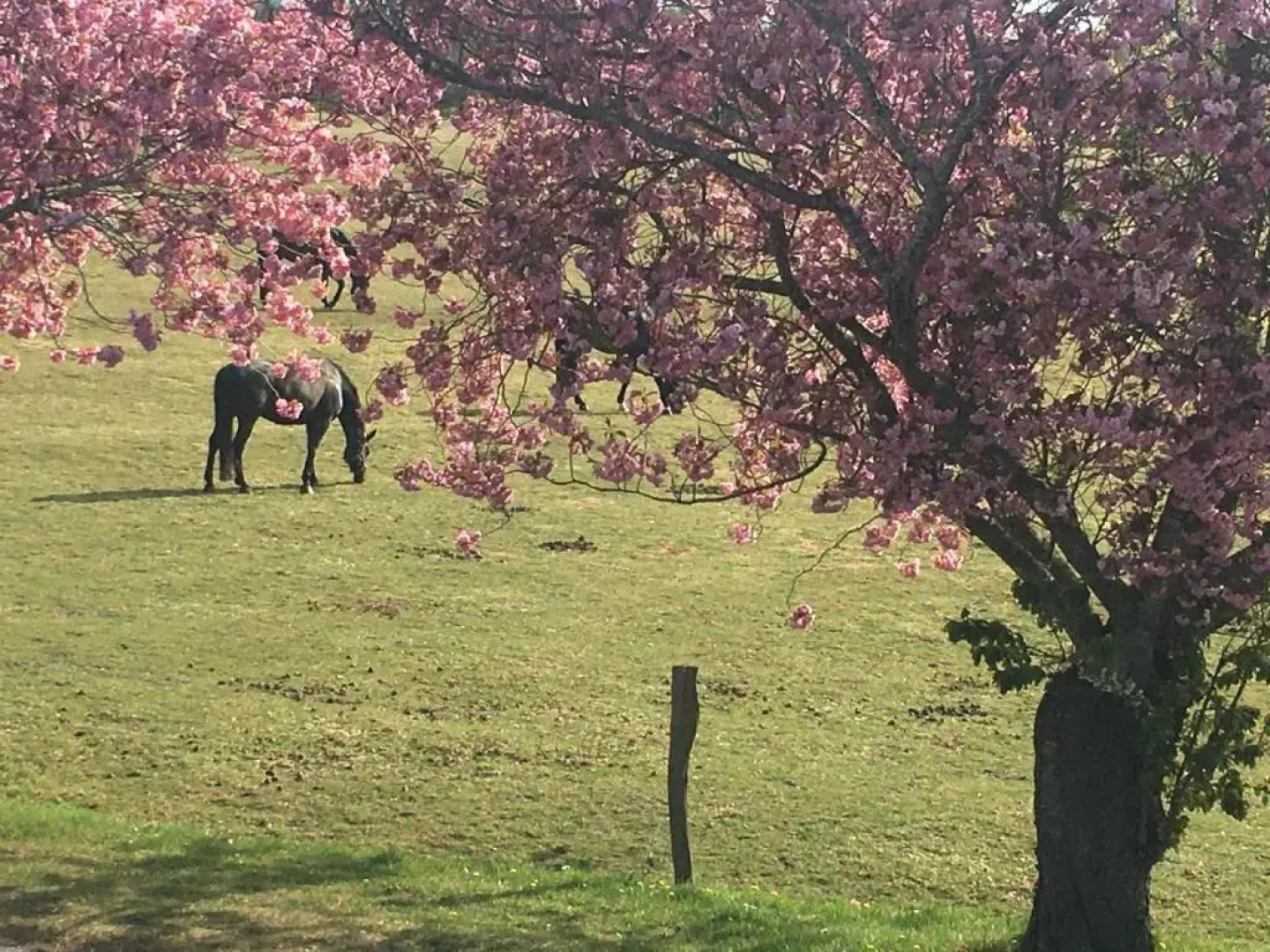 Wohnung-Felsenauster-im-Haus-Muschelgarten