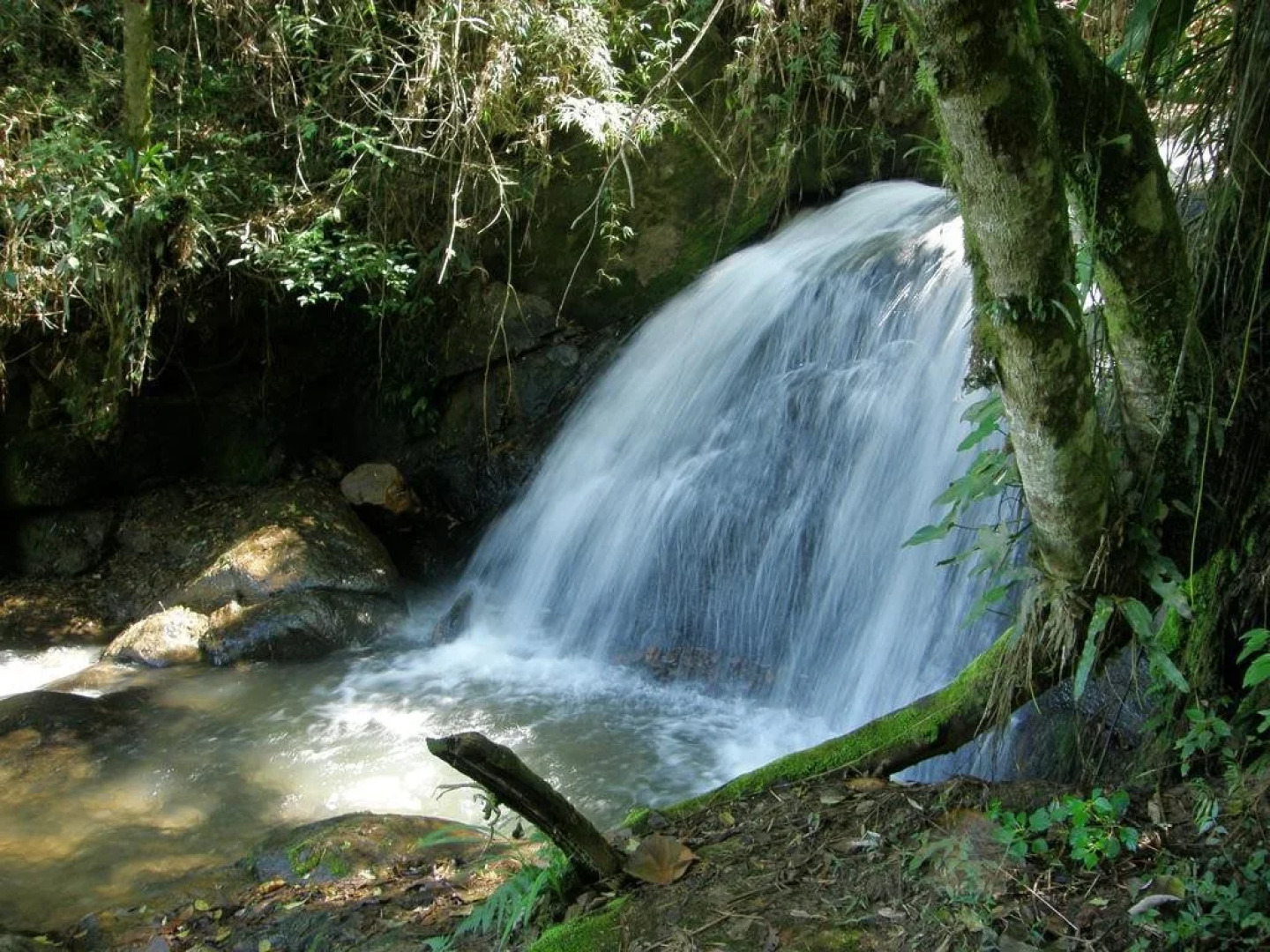 Pousada Pouso do Rochedo