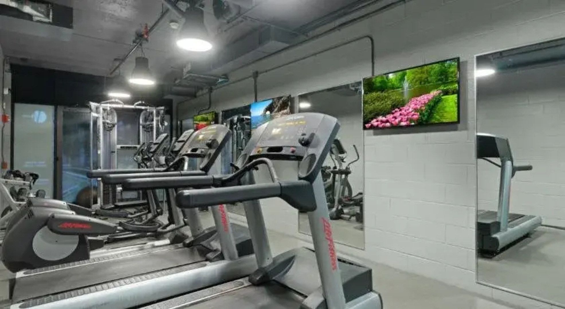 Global Luxury Suites at Monroe