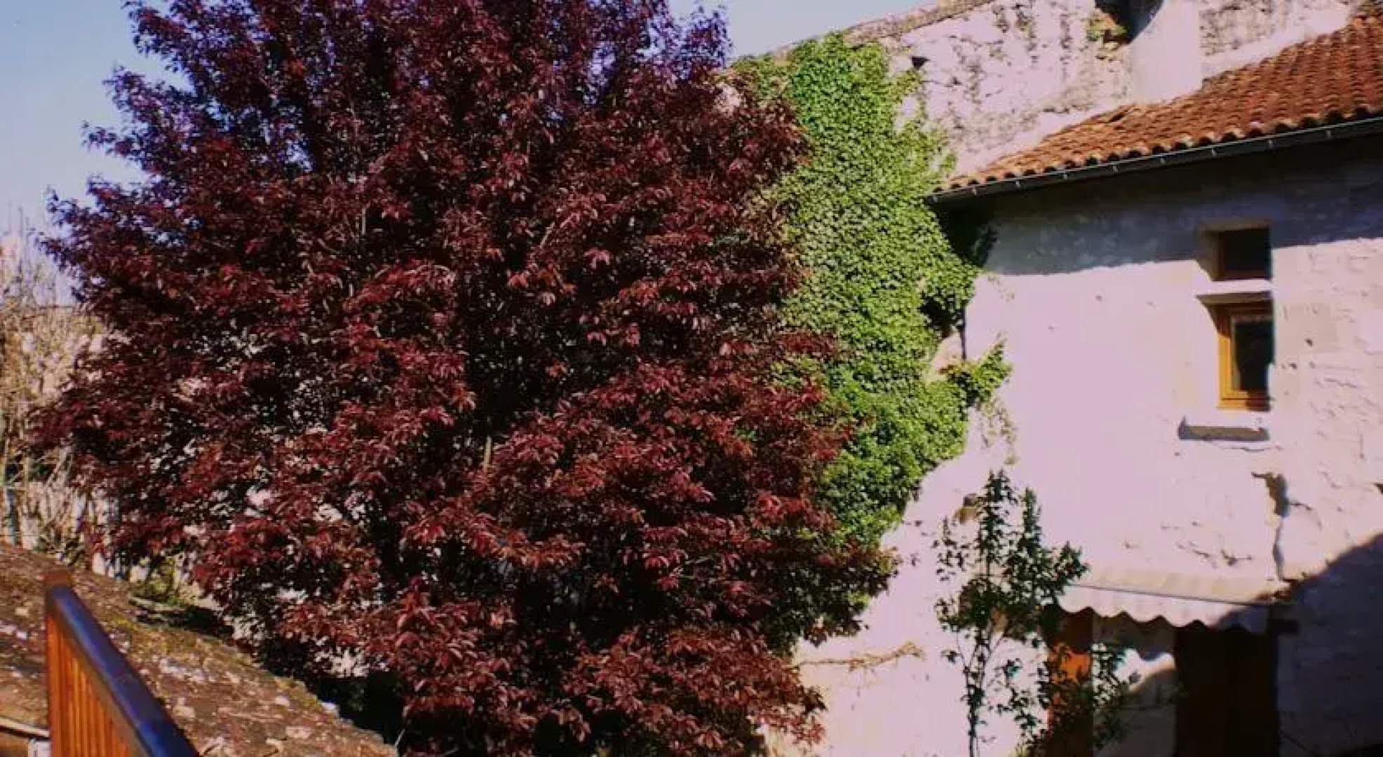 Chambres dHôtes La Peregrine