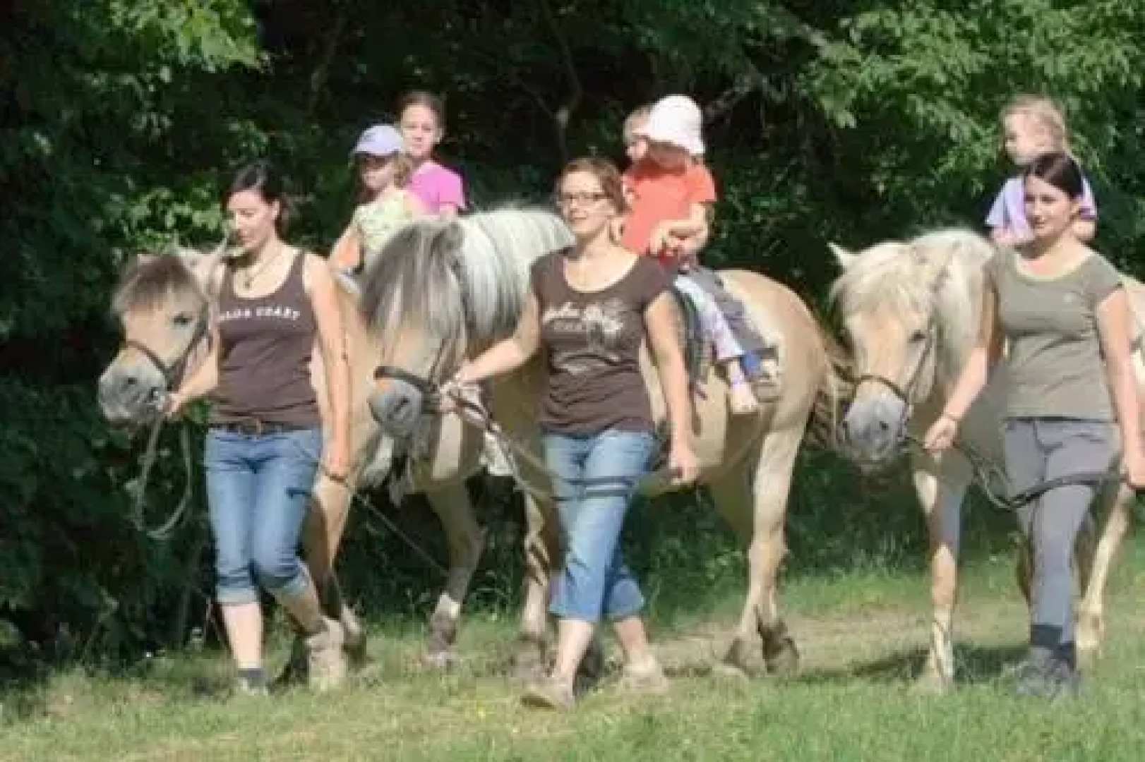 Ferienwohnungen Ludwig - Pferdehof Pfaffenriegel