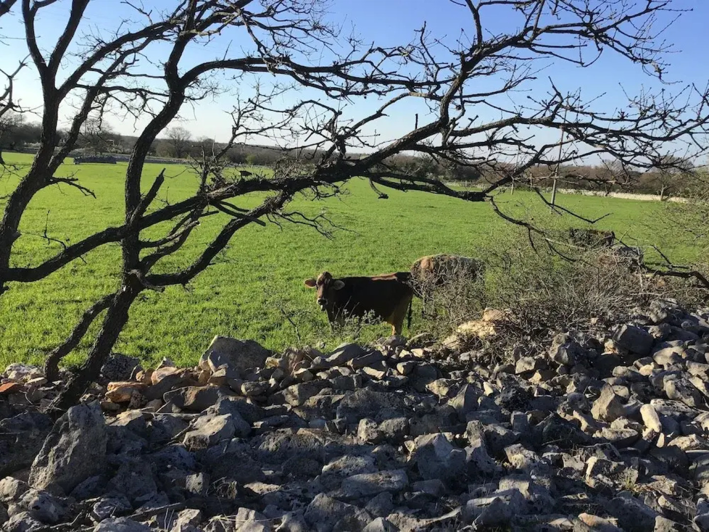 Corallo Country Hotel & SPA