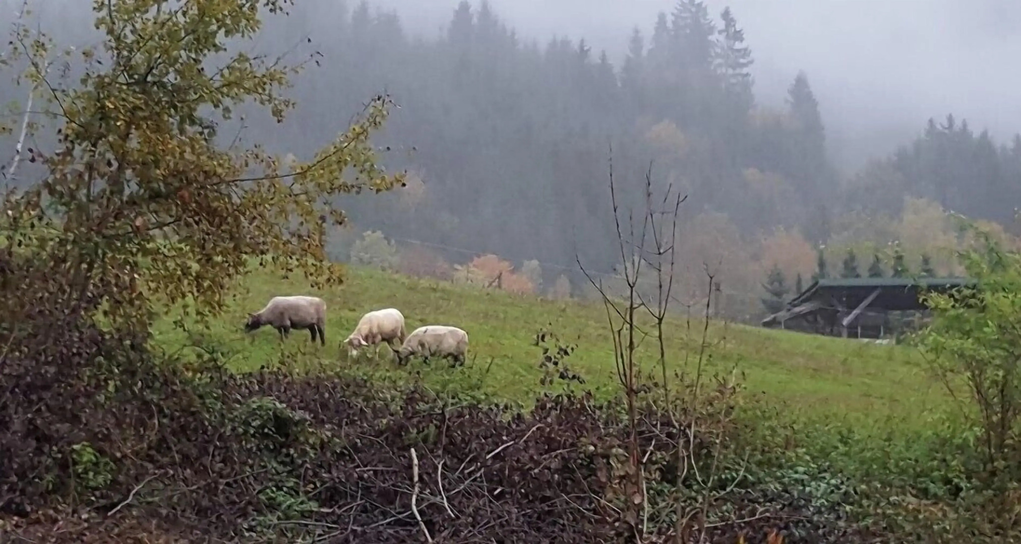 Hotel Ferien vom Ich
