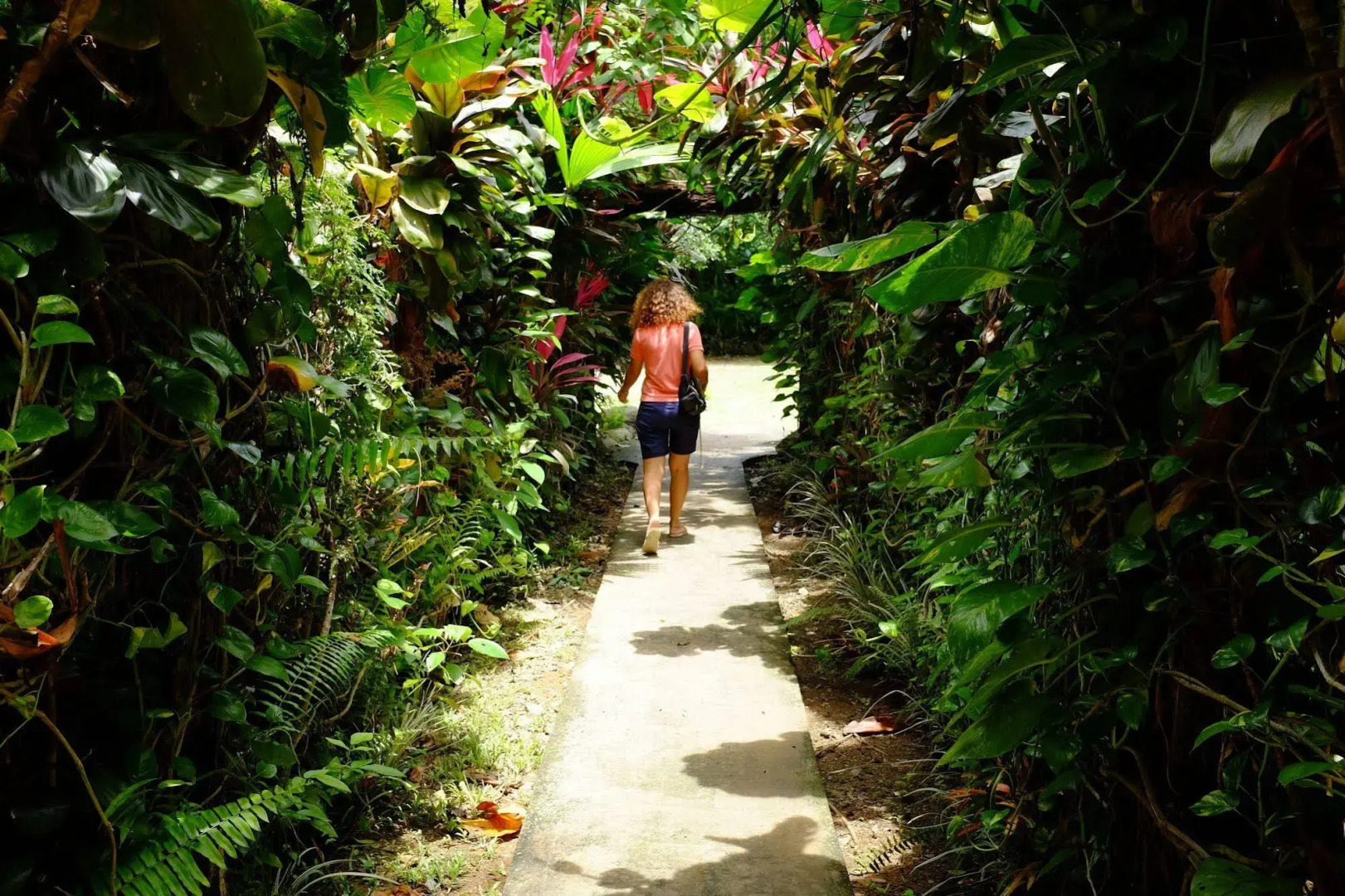 La Palapa Eco Lodge Resort