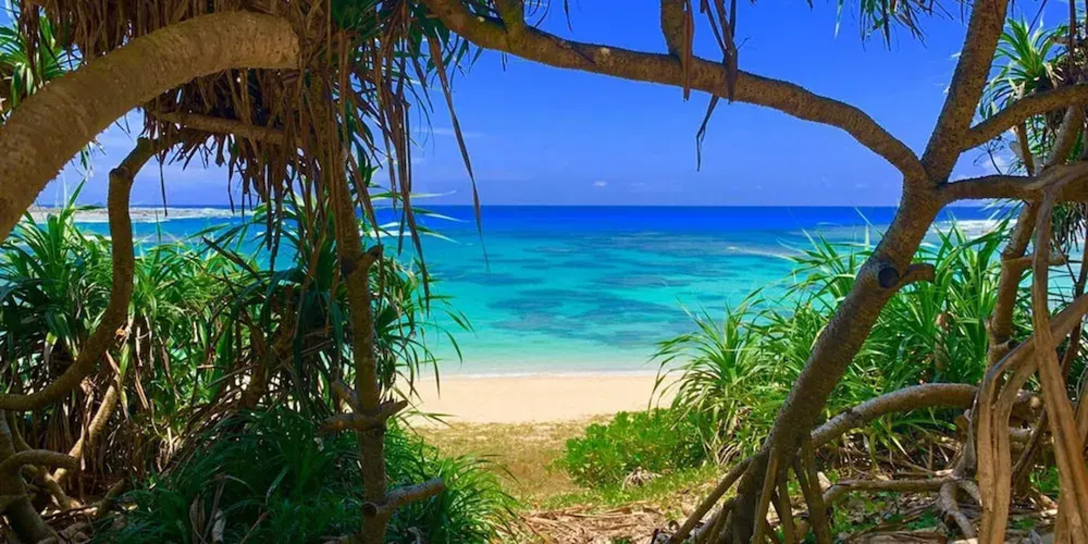 Guest House AMA TERRACE