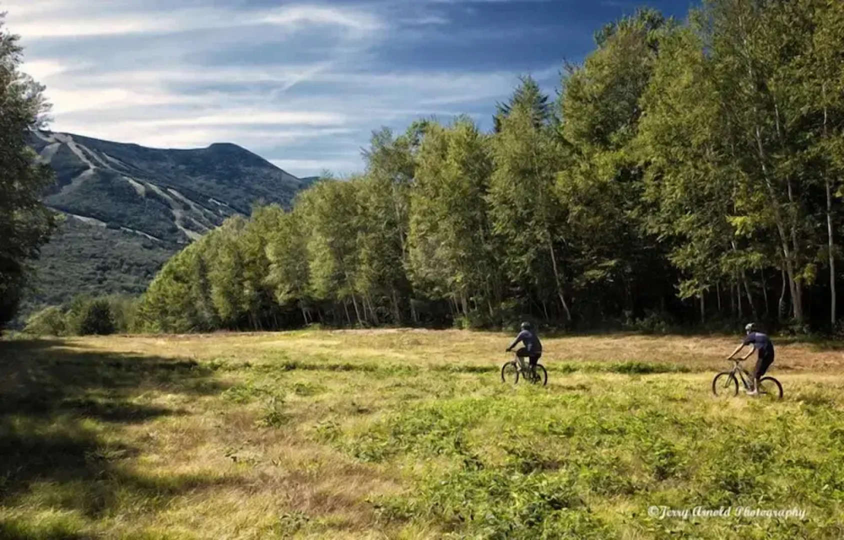 Snowy Owl Inn And Resort