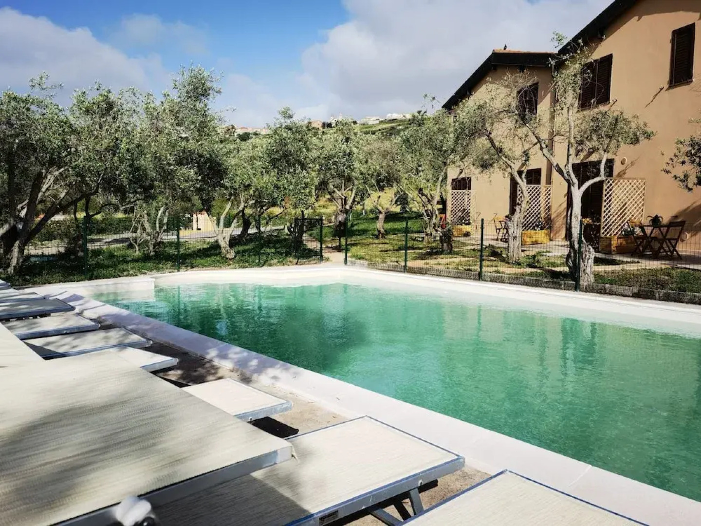 la corte degli ulivi