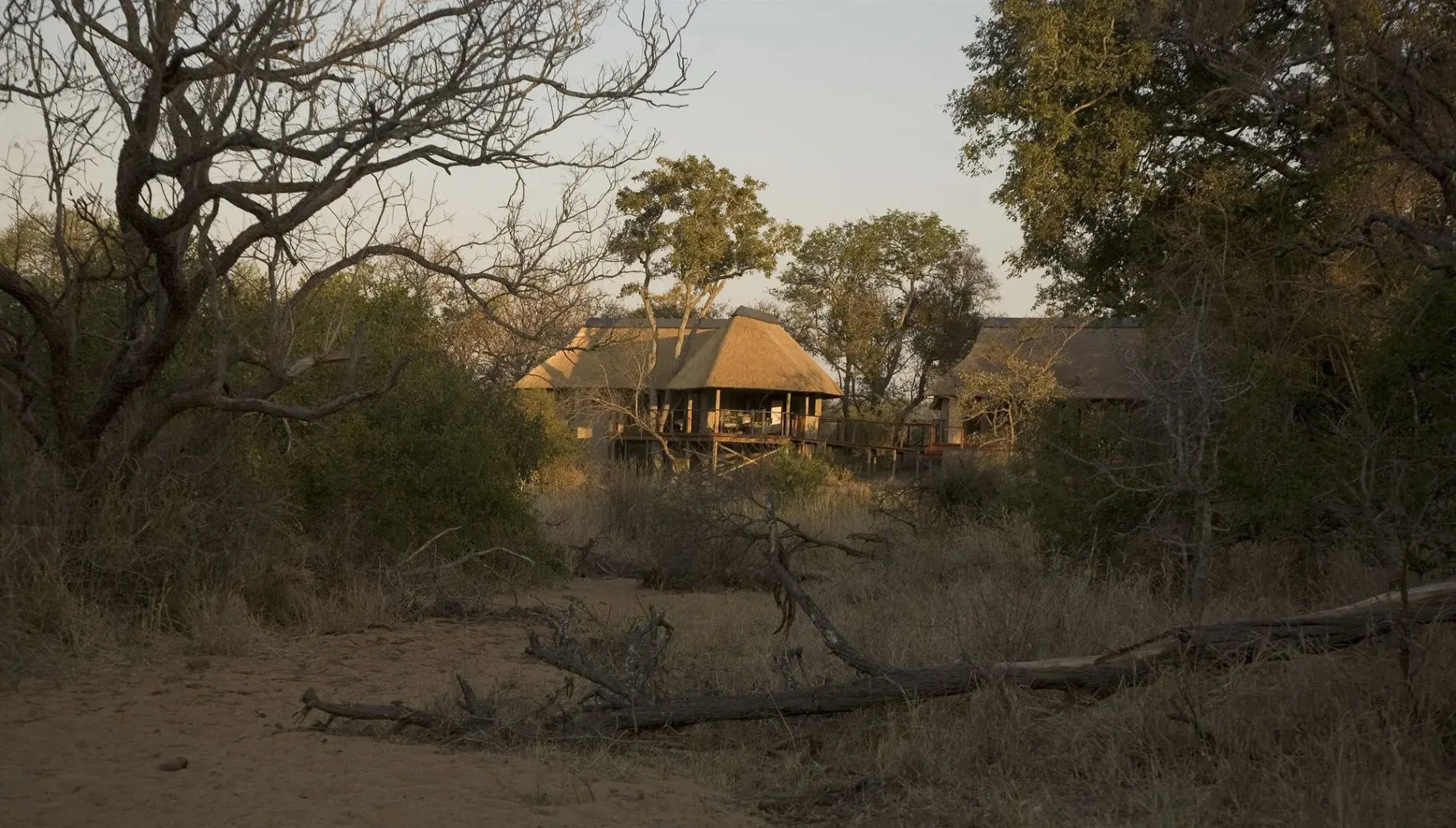The River Lodge At Thornybush