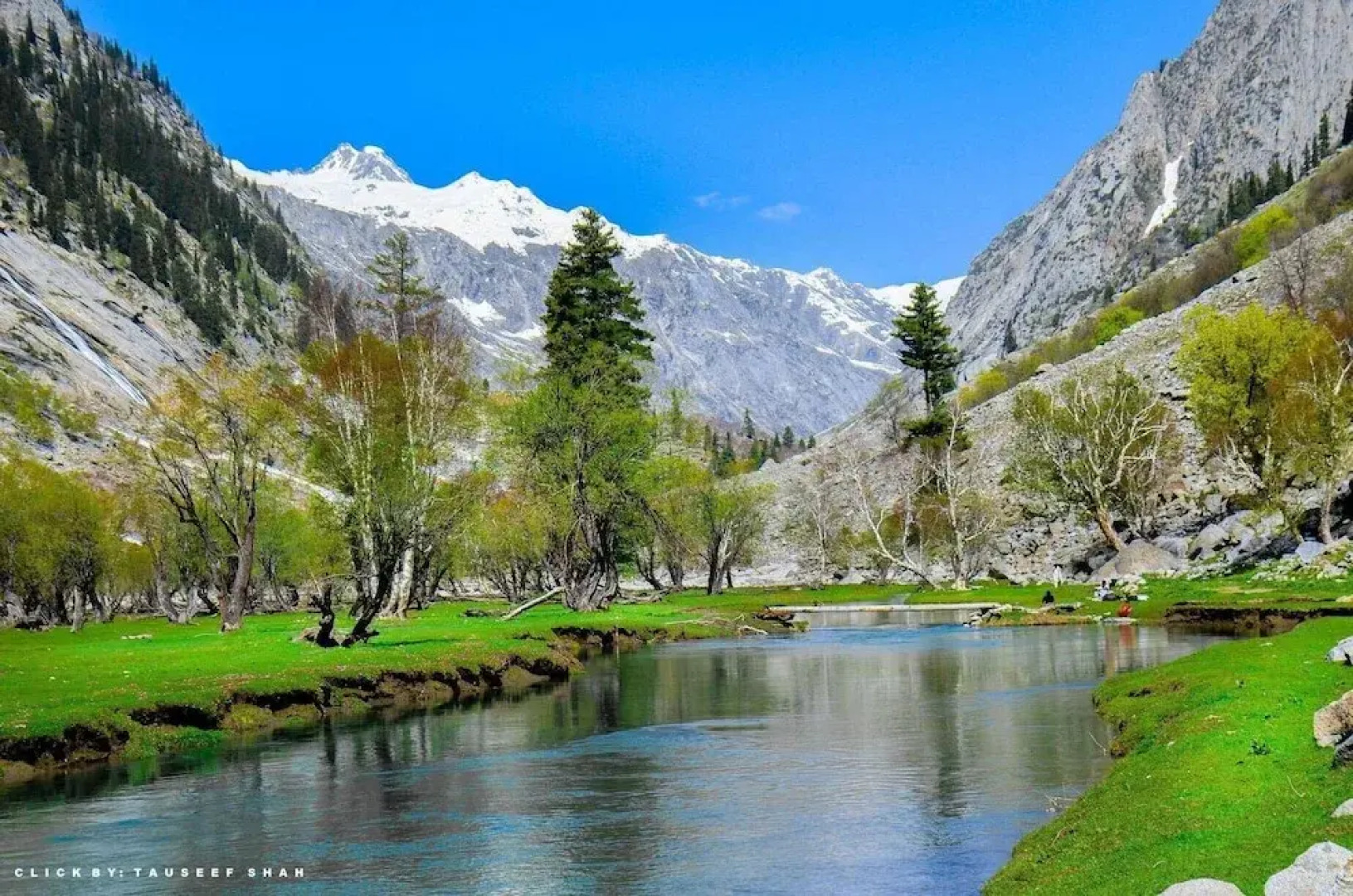 Shelton's Rezidor Swat