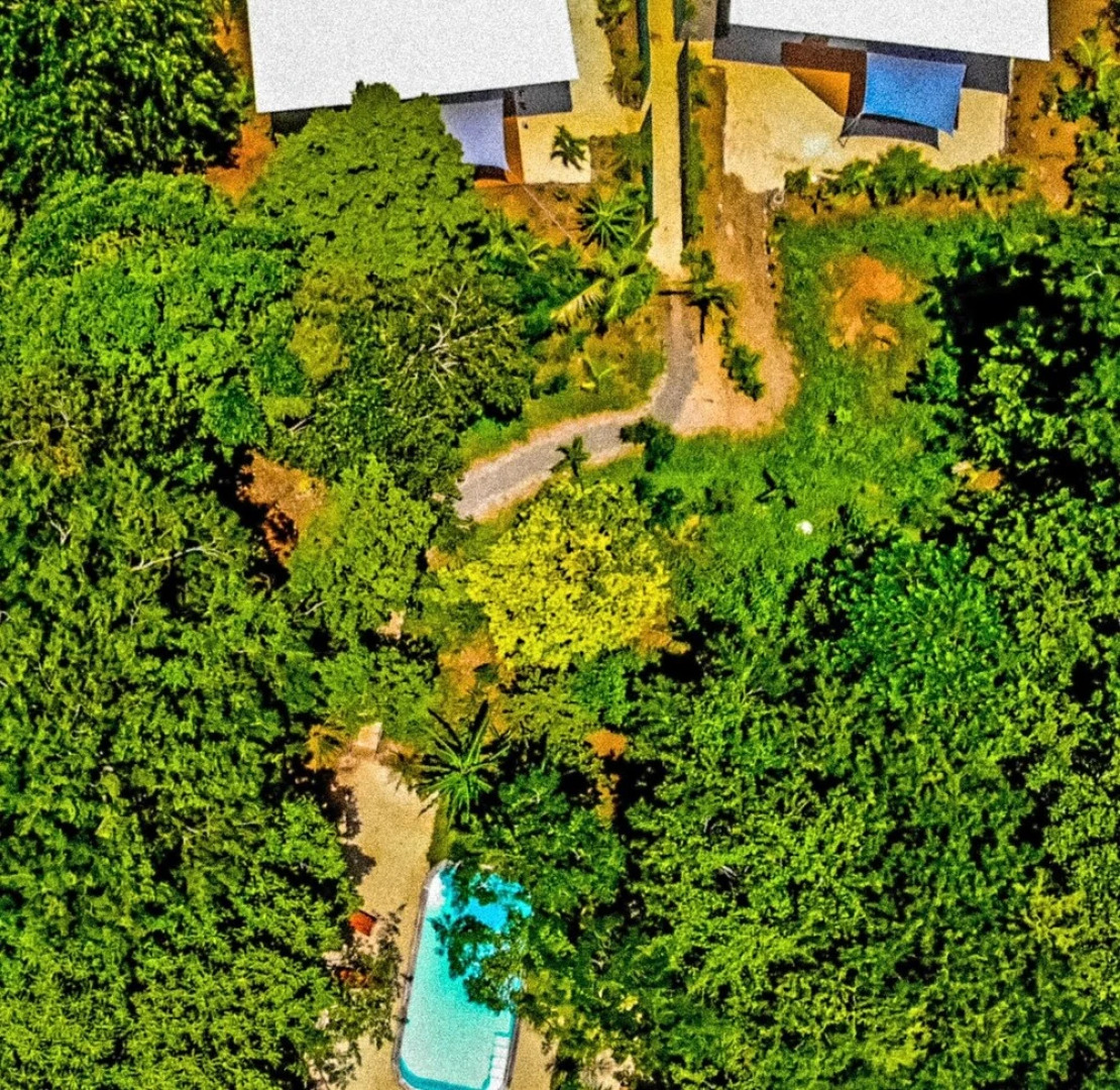 Arbol de vida villas