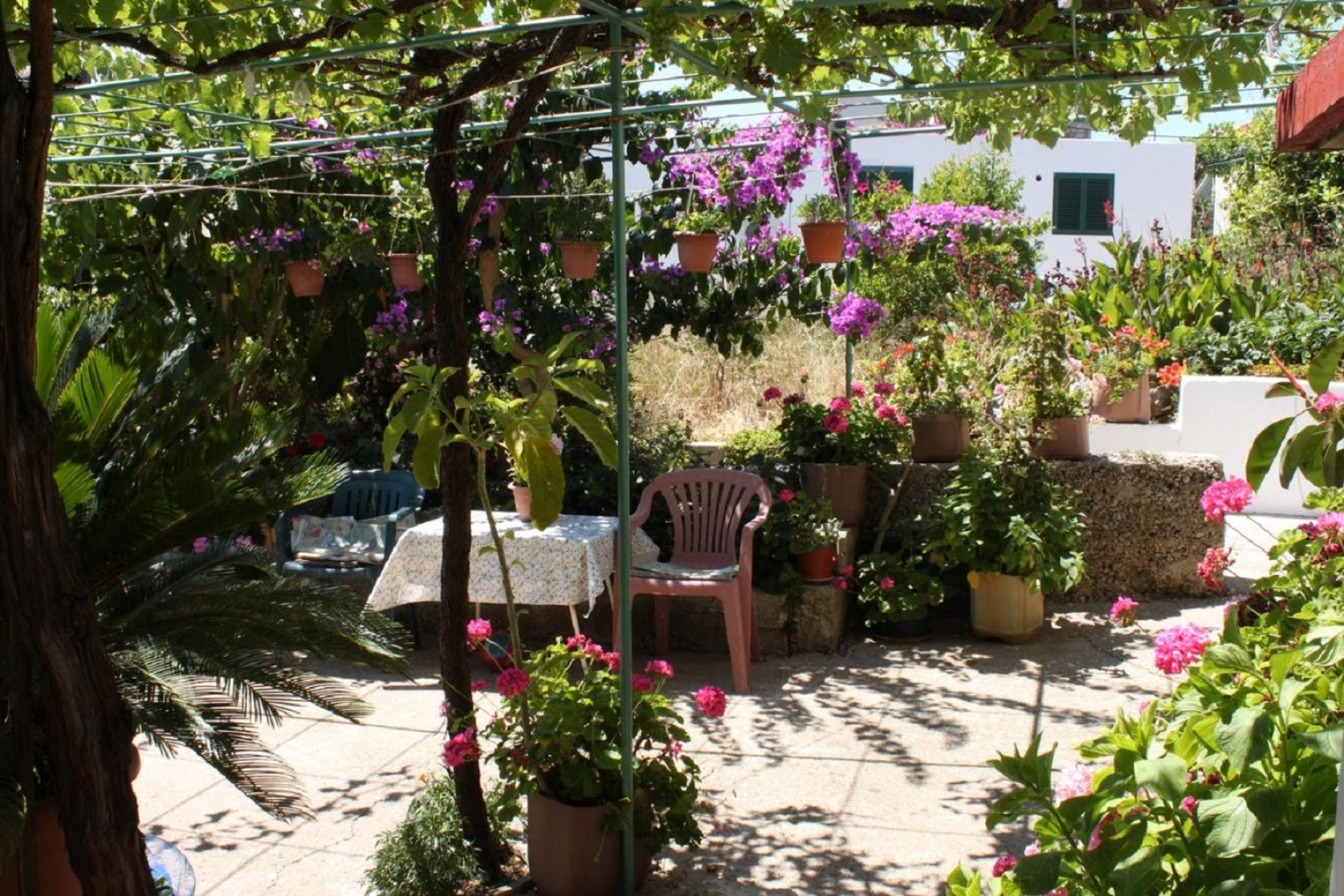 Room Mare - economy rooms: R3 Sucuraj, Island Hvar