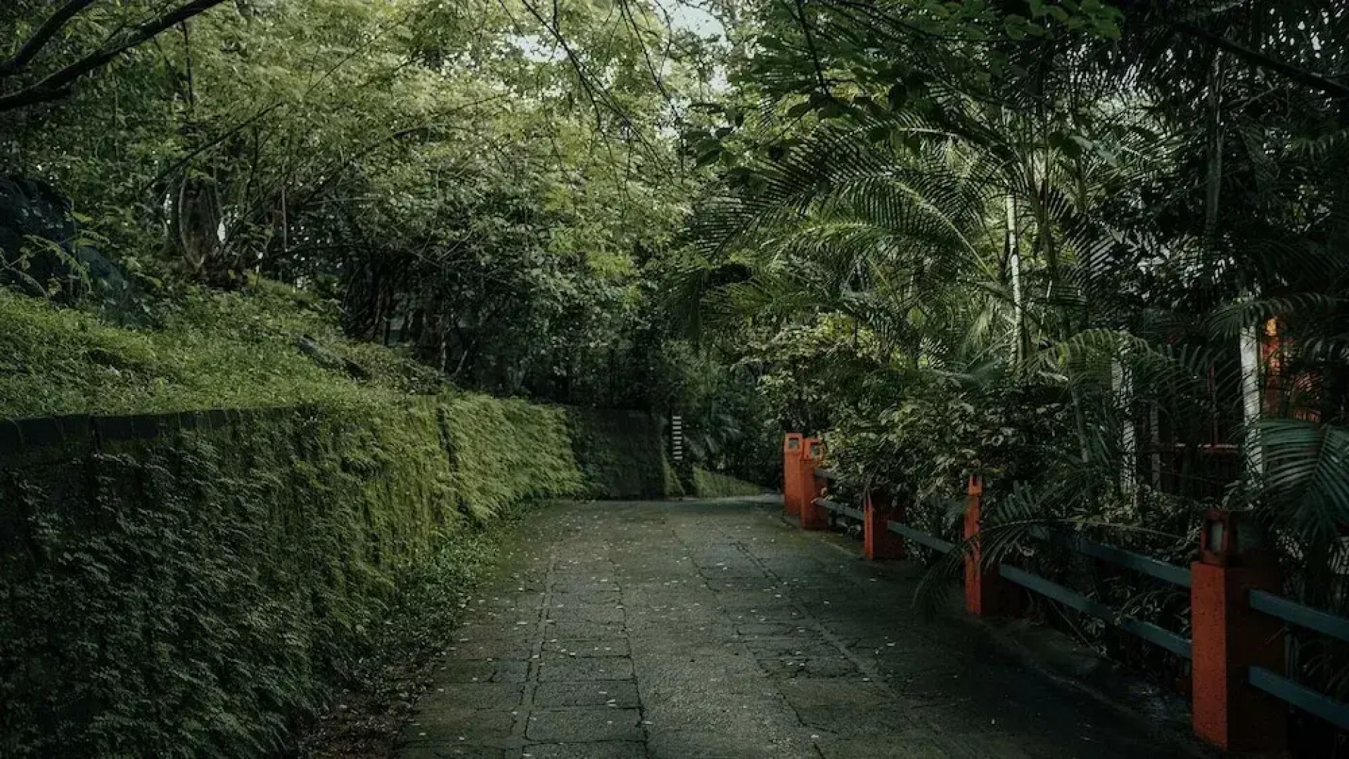 Wayanad Silverwoods Forest Resort & Spa