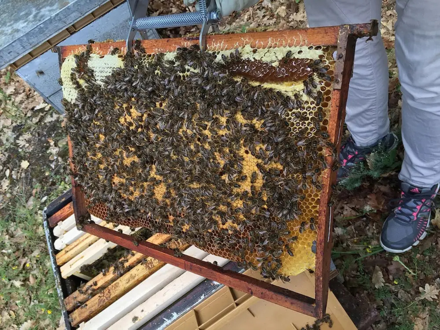 Le Clos des Collines - Gîte