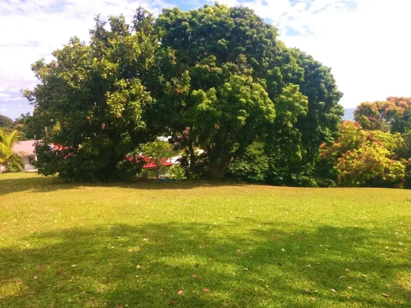 Bungalow With one Bedroom in Petit Bourg, With Wonderful sea View, Fur