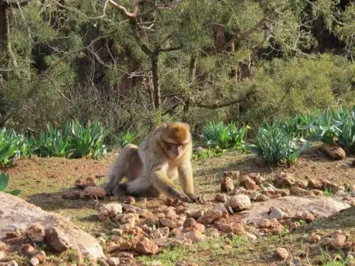 Riad Terrasse Des Cascades