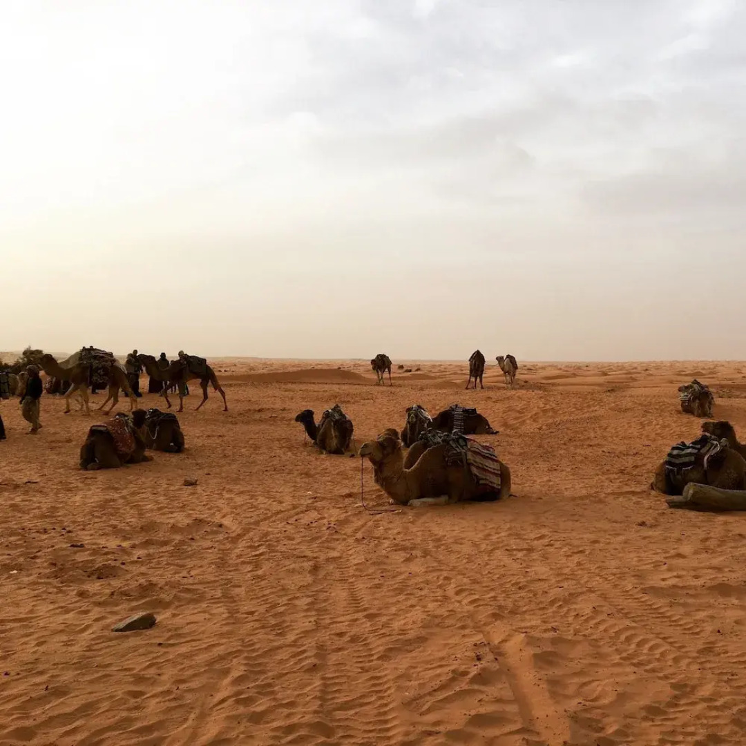 Résidence La Source