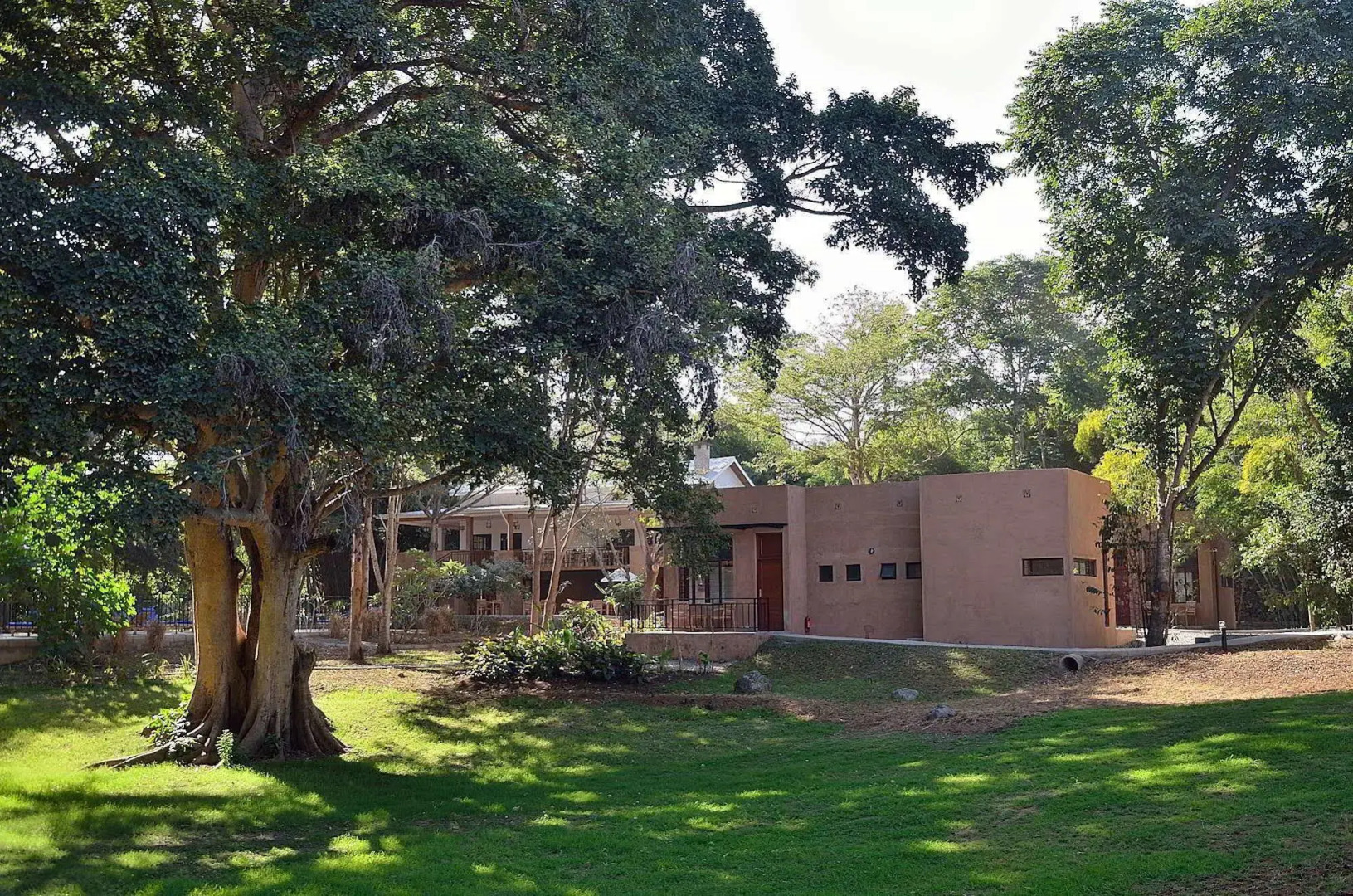 Green Hills of Africa