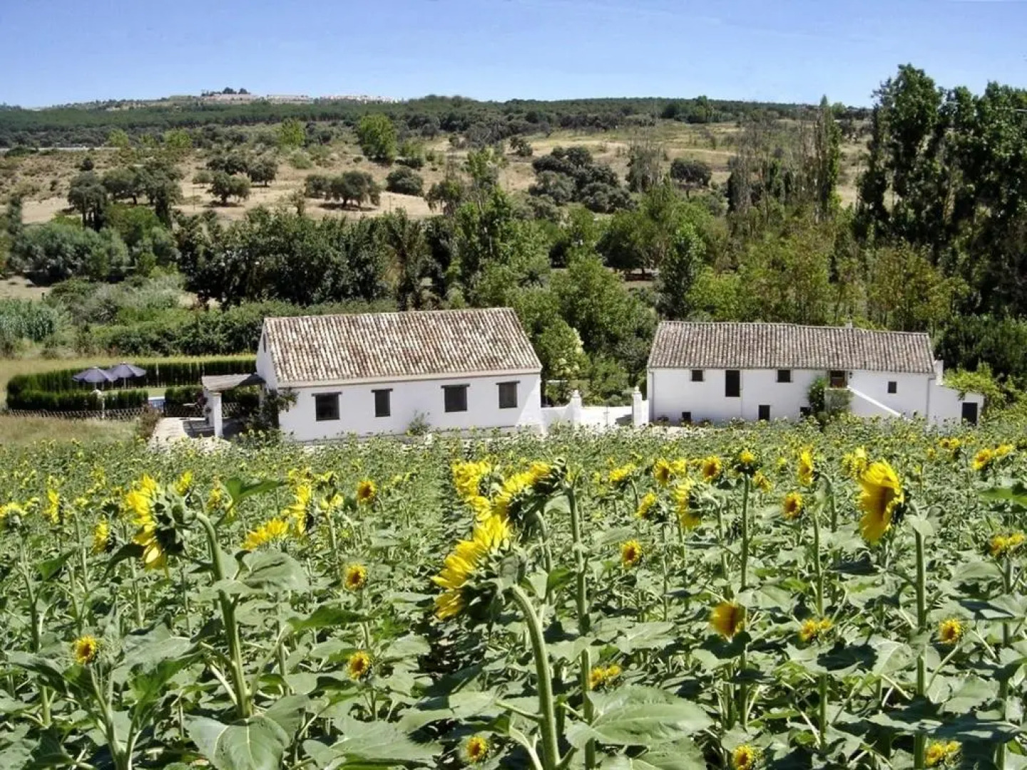 Holiday Home Finca Retama