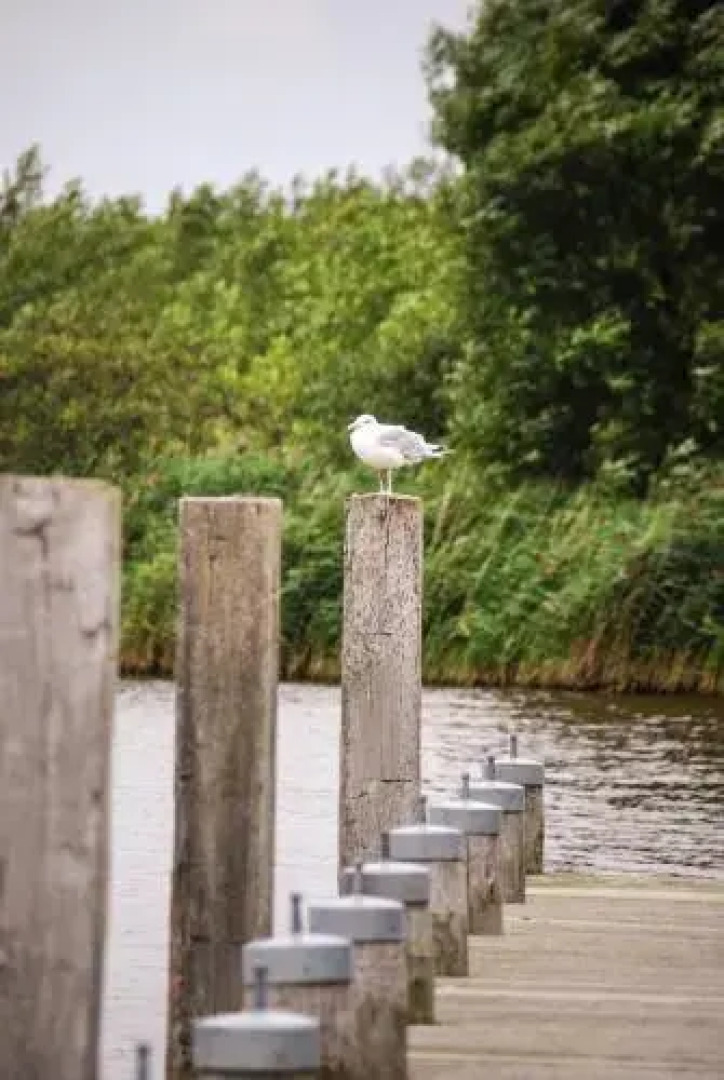 Natuurlijk Kollumeroord