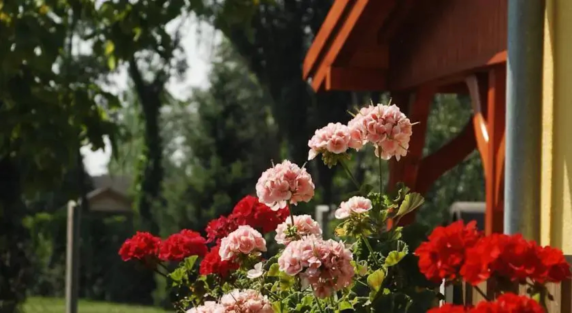 Apollonia Vendégház