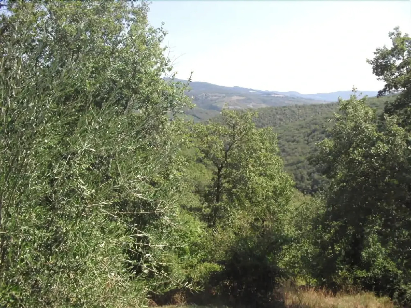 Locanda La Capannuccia