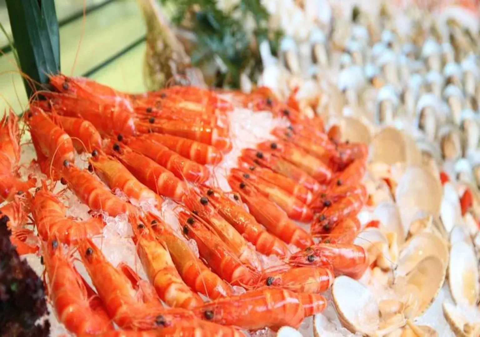 Shenzhen Castle Golf Resort