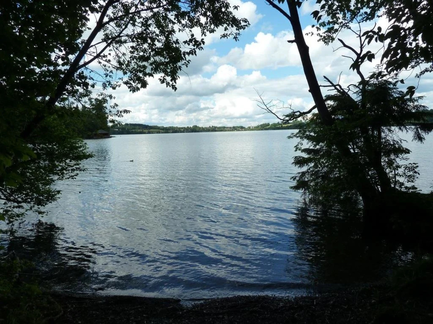 Hotel Wittelsbach am See