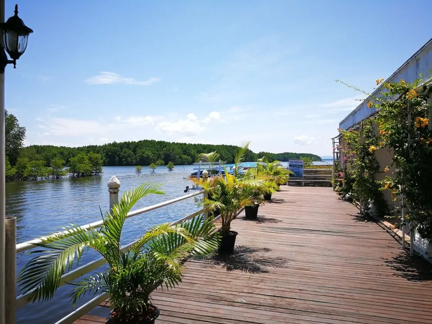 Mangrove Sanctuary Resort