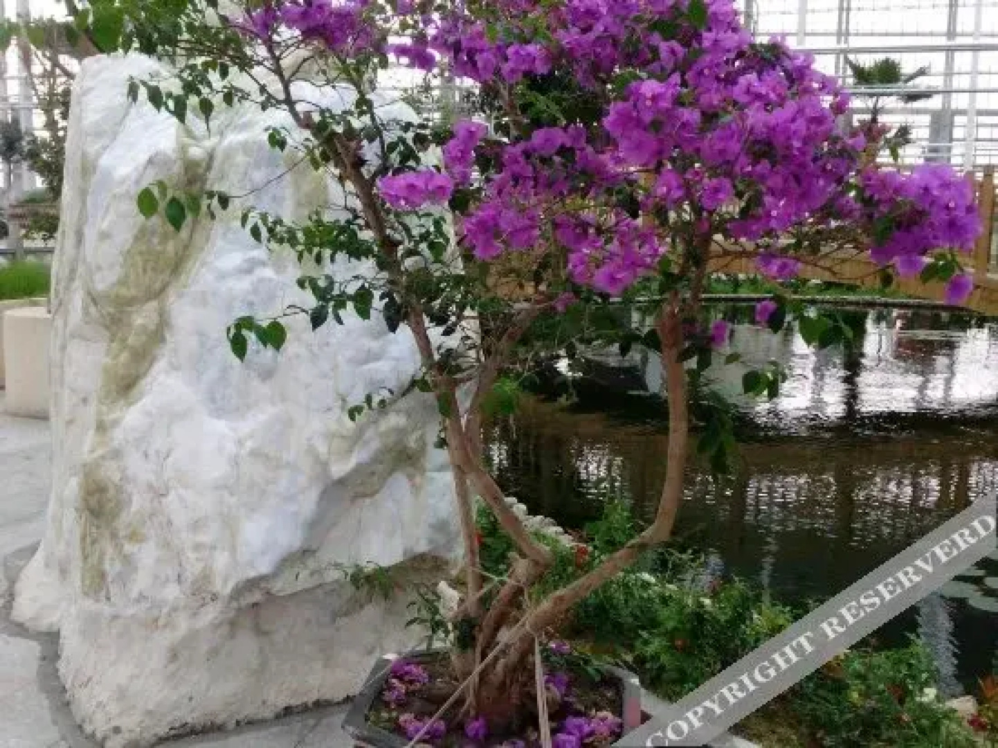 Yatai Hot Spring Resort