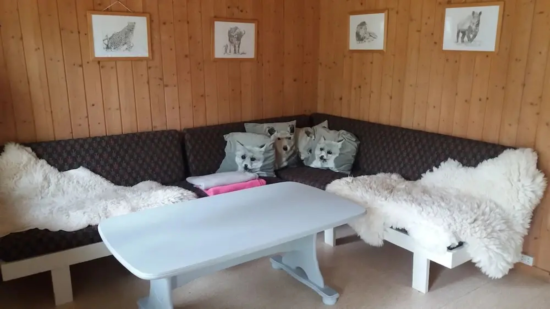 Sæteråsen Hytter & Camping