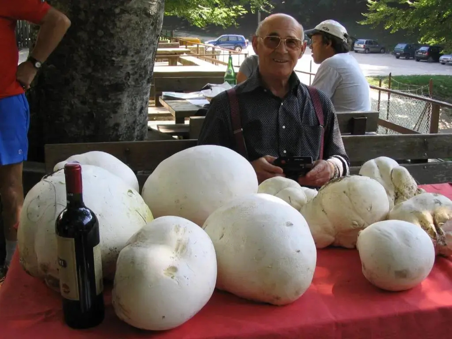 Albergo Ristorante Montecucco da Tobia