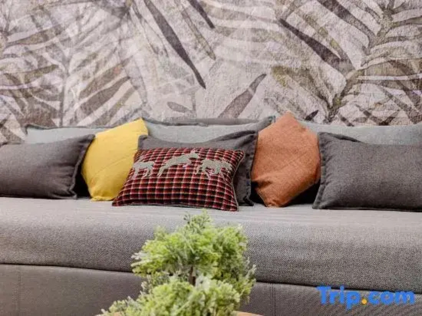 Elpis' cozy & luxury apartment