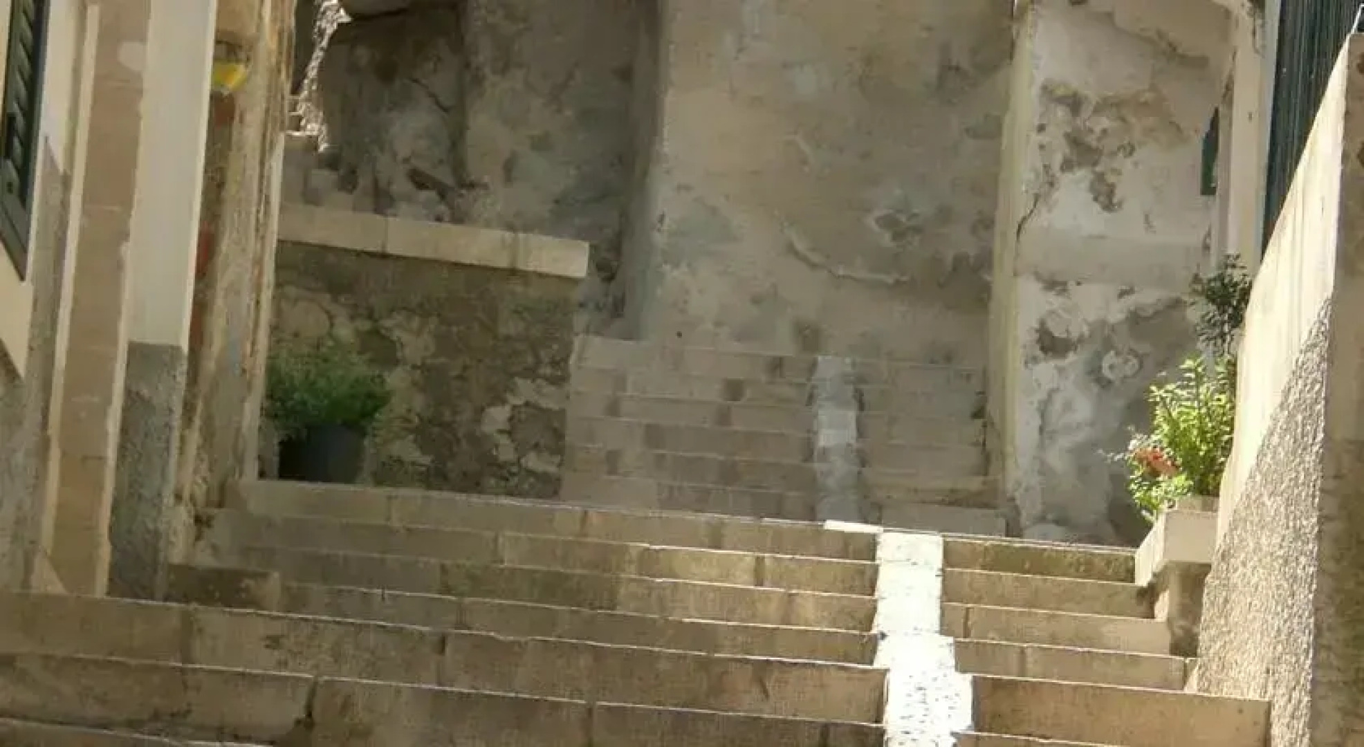 Il Carrubo di Sicilia