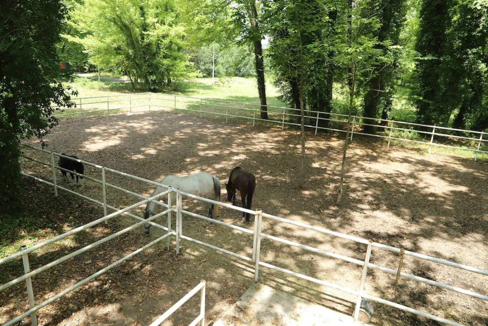 Yüzüncü Yıl Ecopark